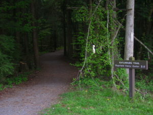 Gatlinburg trail and scenery