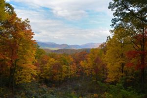 Smoky Mountains In Fall