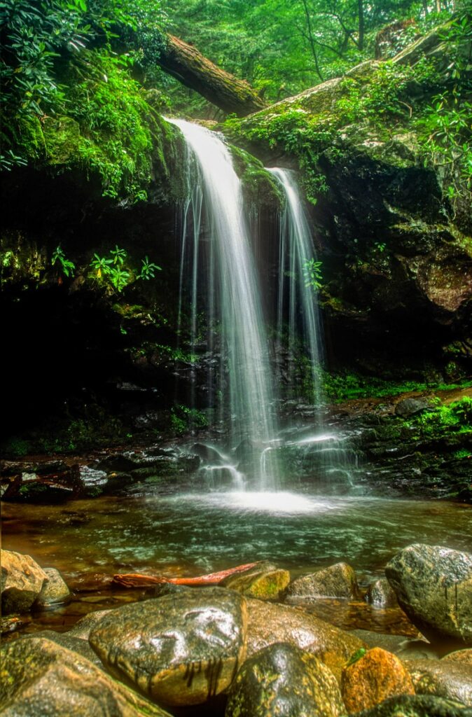 Best Hiking Trails in Great Smoky Mountains