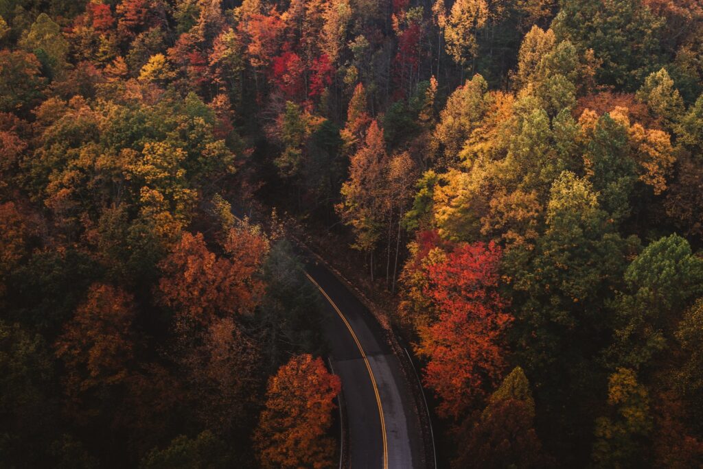 When To Time Your Trip For Optimal Leaf Peeping In The Smokies