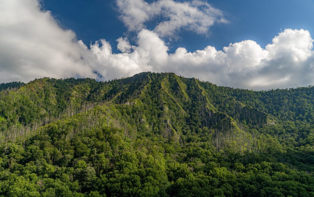 Government Shutdown could close Great Smoky Mountains National Park During Busiest Time Of The Year