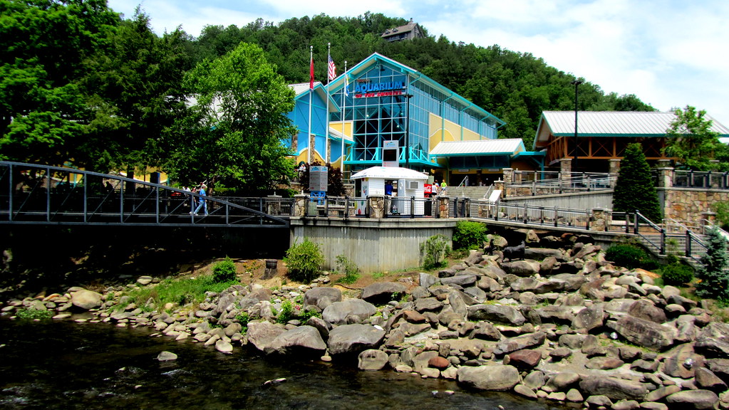 Ripley's Aquarium of the Smokies