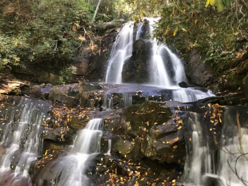 a waterfall in the middle of a forest