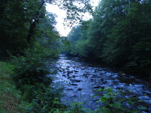 Dawn on Little River Road, Great Smoky Mountains National Park, Tennessee