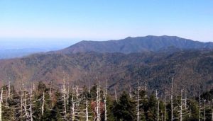 Clingmans Dome View Looking East