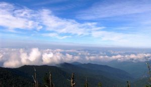 Clingmans Dome Looking South