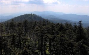 West View For Clingmans Dome