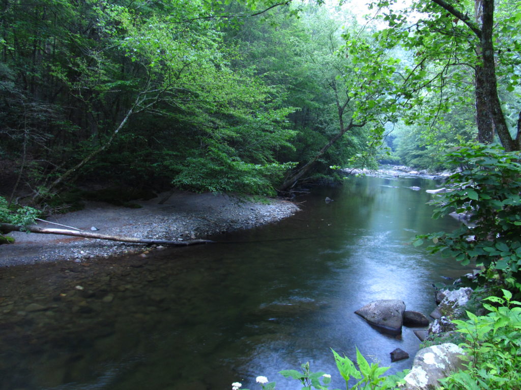 What Can You Do In Gatlinburg In April