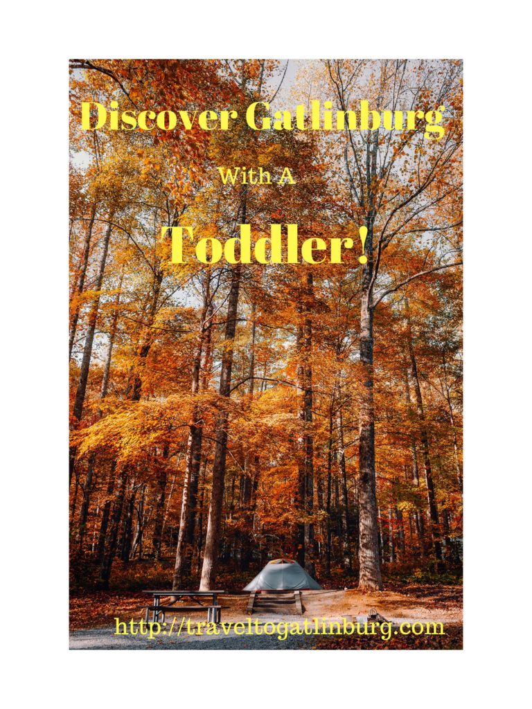 what-to-do-in-gatlinburg-with-a-toddler-travel-to-gatlinburg