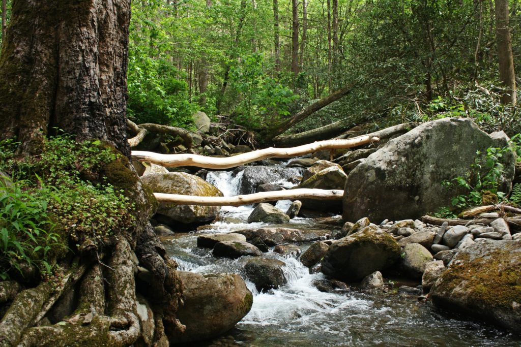 Little River Gatlinburg
