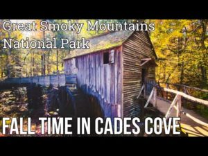 Fall Time in Cades Cove Cable Mill Tour Pearl Harbor Tree Great Smoky Mountains National Park 2022
