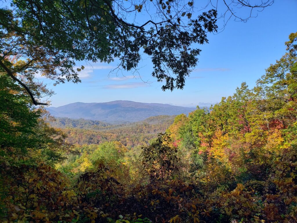 green trees on mountain under blue sky during daytime