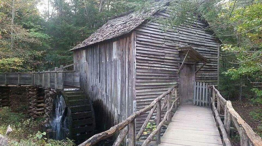 From Seed to Flour: The Grain Processing at Cable Mill