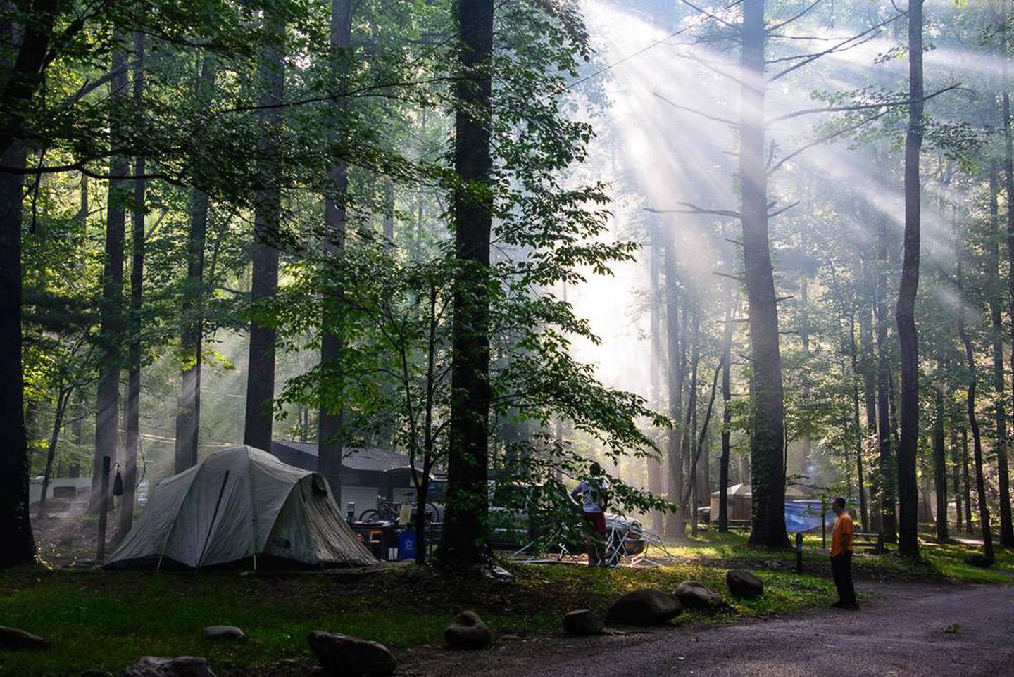 Great Smoky Mountains Campground Reservations: Everything You Need to Know