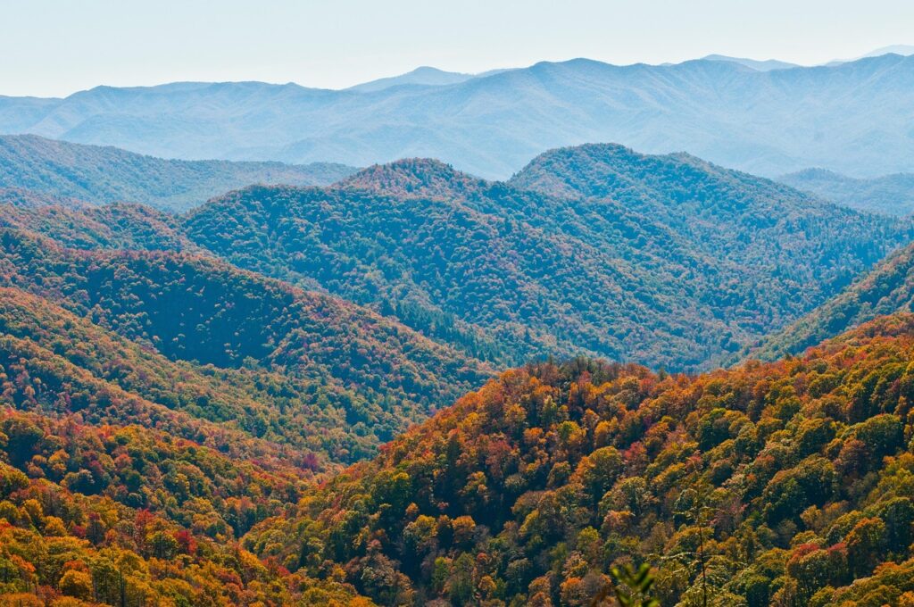 outdoors, park, landscape, smoky mountains, scenic, foliage, mountains, appalachian, scenery, trees, forest, ridge, wilderness, sky, travel, natural, mickey estes, nature, nature landscape, beautiful landscape, landscapes, beautiful, climbing mountain, mountain top, mountain climbing, blue sky, natural beauty, smoky mountains, smoky mountains, smoky mountains, smoky mountains, smoky mountains, appalachian