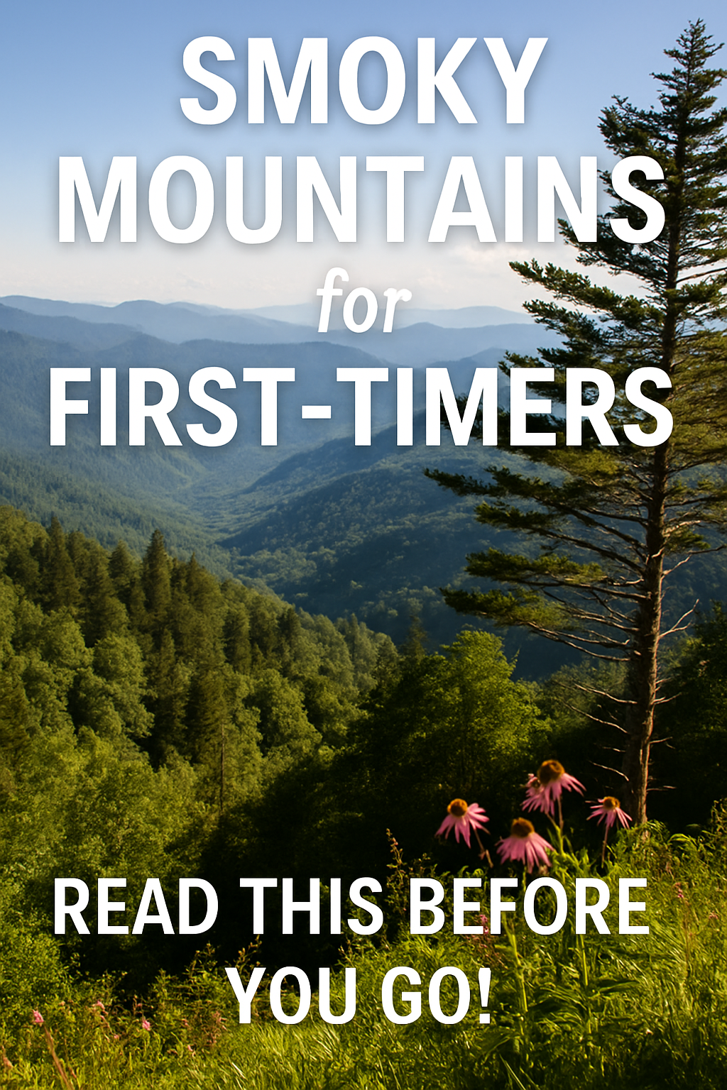 Smoky Mountain National Park for First-Timers: What to Know Before You Go