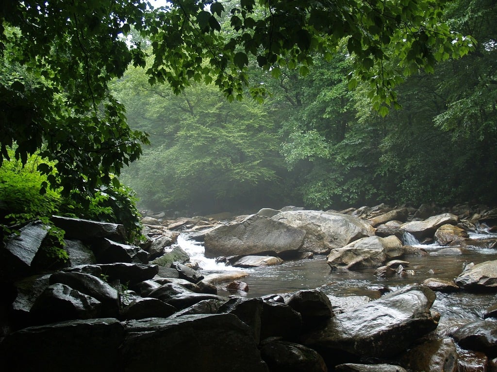 Why Early Morning Hiking In The Smokies is the Best Time to Hike the Smokies 2 early morning hiking in the Smokies, best time to hike Smoky Mountains, sunrise hikes Gatlinburg, Smoky Mountain hiking tips, Gatlinburg hiking advice