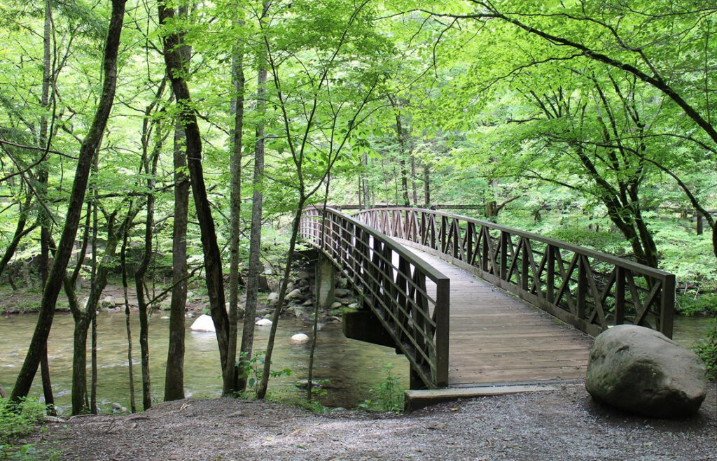 family-friendly trails Gatlinburg, Smoky Mountains hiking, easy hikes for kids, Gatlinburg trails, family outdoor activities