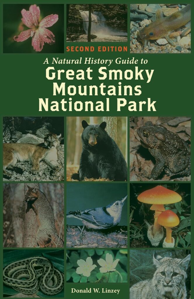 A Beginner’s Guide Tree Identification Great Smoky Mountains 1 tree identification Great Smoky Mountains, Smoky Mountains tree guide, beginner tree identification, Great Smoky Mountains flora, identifying trees Smokies, Gatlinburg nature guide