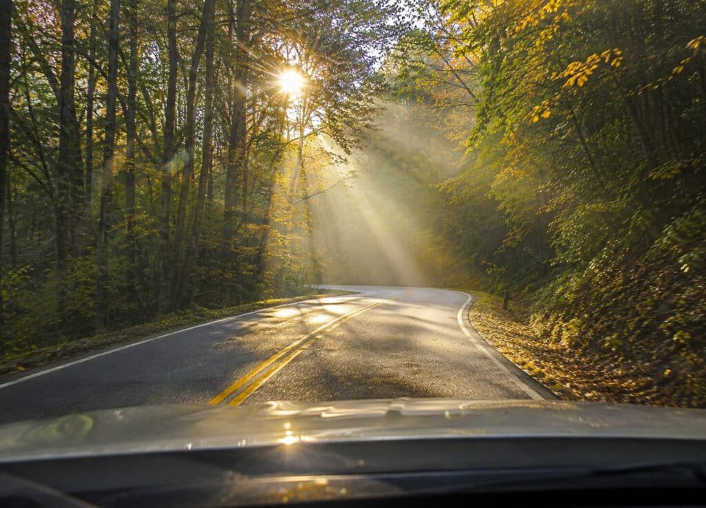 Early morning sunlight streams through the trees along Newfound Gap Road in Great Smoky Mountains National Park as viewed through a car windshield.