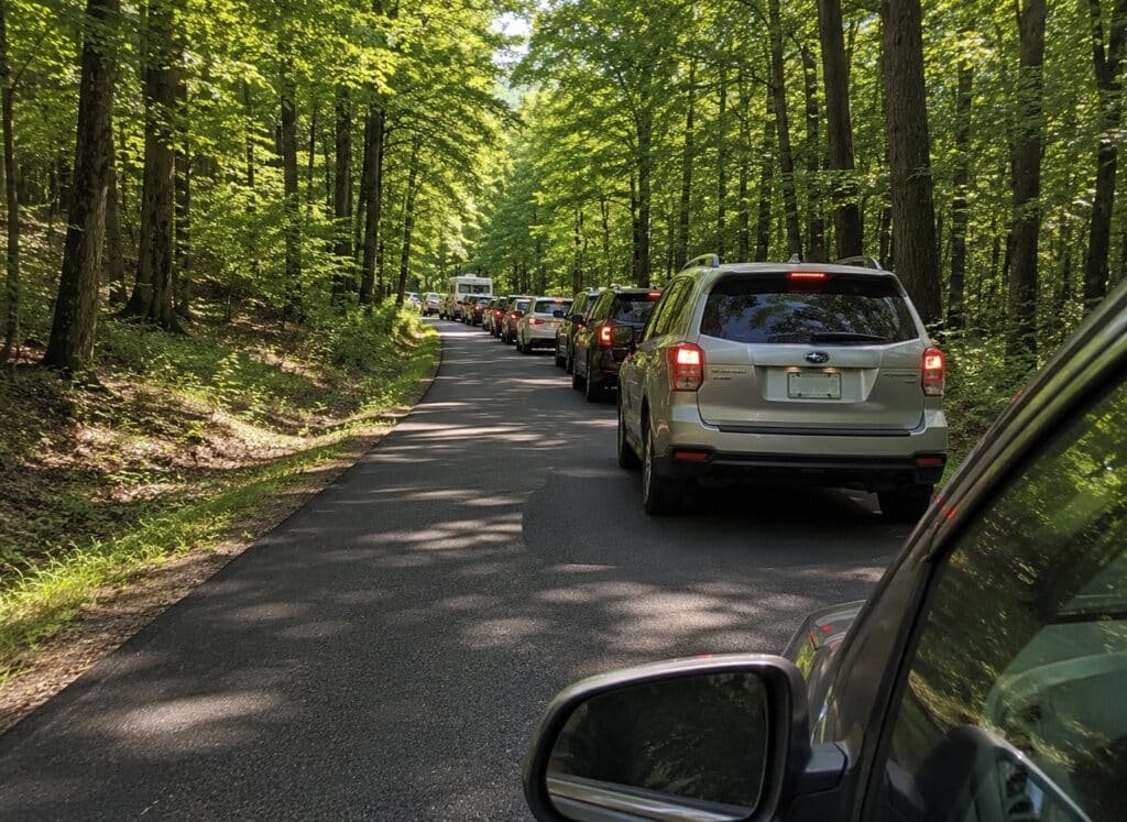 Line of vehicles traveling along the one-way Cades Cove Loop Road through the forest in Great Smoky Mountains National Park